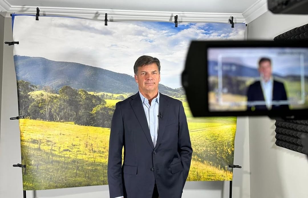 Thumbnail for Federal Liberals turn to Angus Taylor to set a new direction, with a by-election his first test